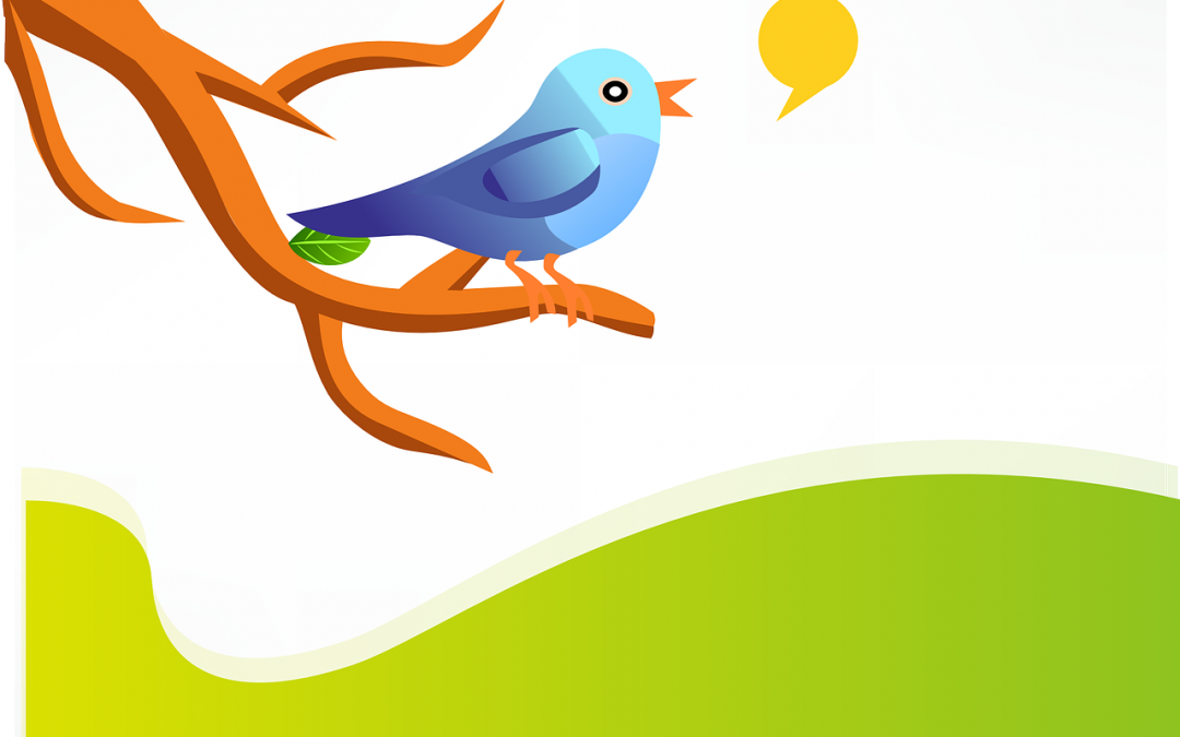 Twitter Study Shows How Mentions, Length, and Images Affect Engagement