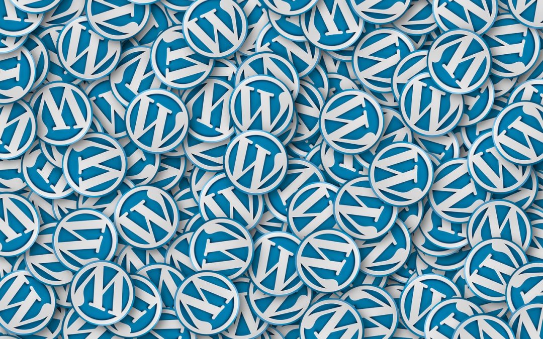 The Places to Find Free Premium WordPress Themes